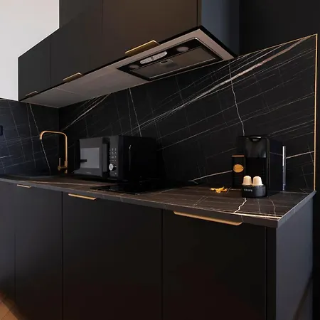 Les Perchoirs De Stanislas 2 - De Standing Hyper Centre نانسي