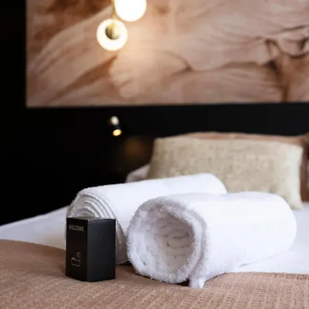 Les Perchoirs De Stanislas 2 - De Standing Hyper Centre