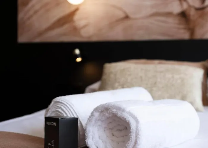 Les Perchoirs De Stanislas 2 - De Standing Hyper Centre