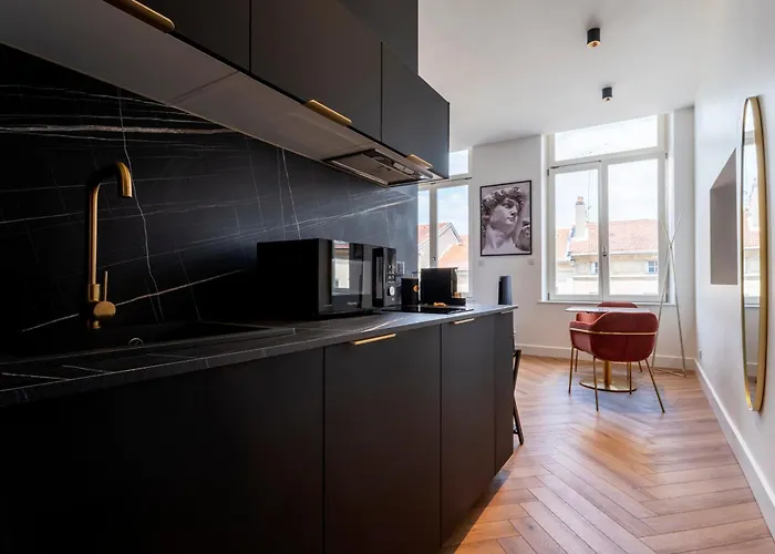 Apartamento Les Perchoirs De Stanislas 2 - De Standing Hyper Centre