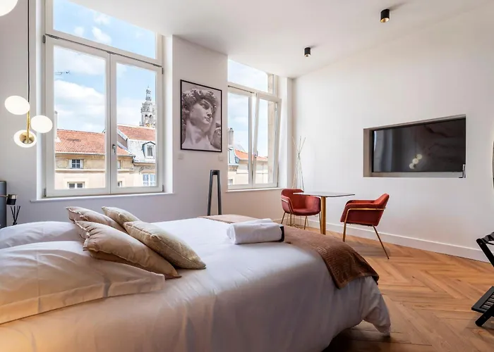 Les Perchoirs De Stanislas 2 - De Standing Hyper Centre דירה נאנסי